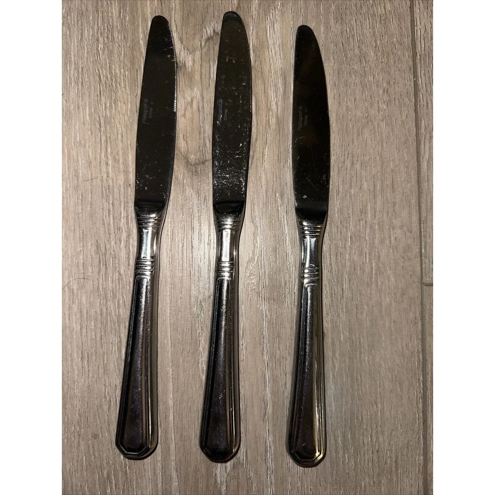 3 Pfaltzgraff PROVIDENCE Stainless Flatware Glossy Dinner Knives 9